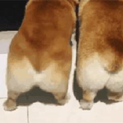 荔枝派:这年头当真有金钱买不来的快乐