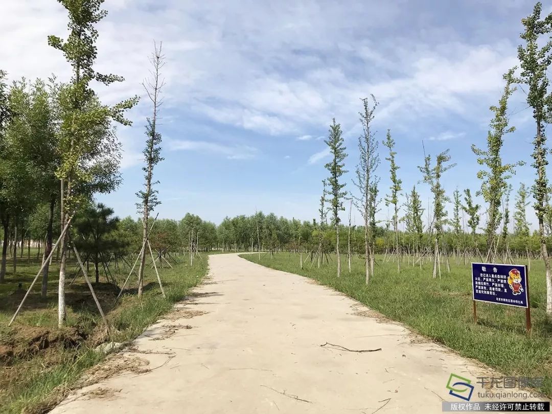 金盏森林公园在哪个位置,朝阳区金盏森林公园