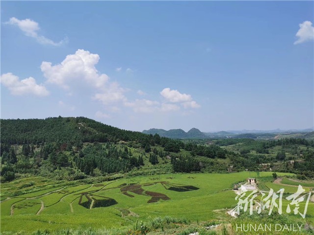 嘉禾县农村丰收节,2022嘉禾农民丰收节暨旅发大会