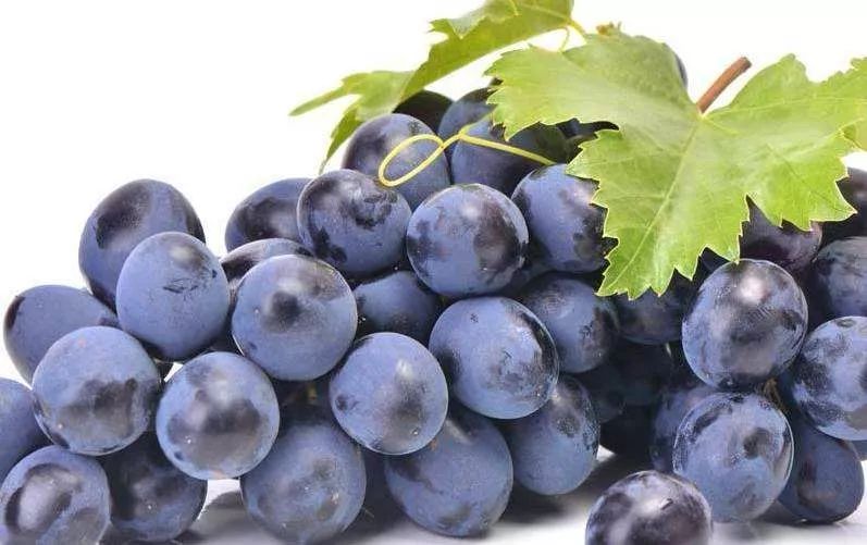 葡萄上有黑点洗不掉是咋回事,葡萄上有白霜怎么能洗掉