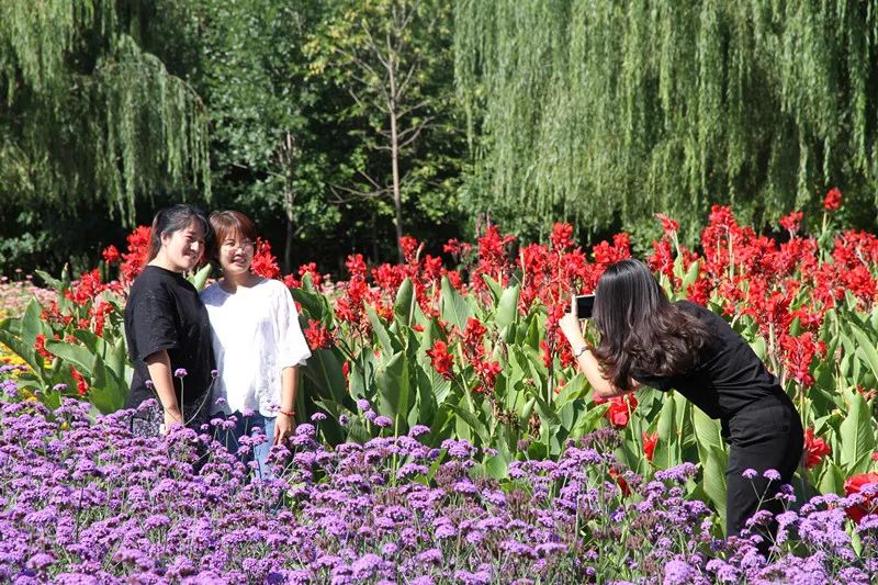 包头花海景点,包头花海美景