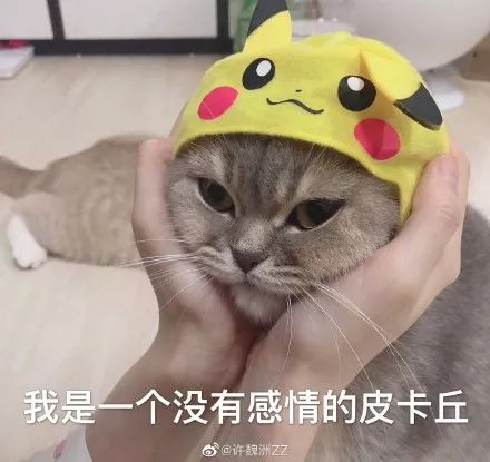 求求你做个人吧粤语怎么说,想当网红真的不容易