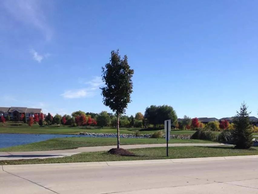 为什么感觉留学好难,2022年去韩国留学越来越难