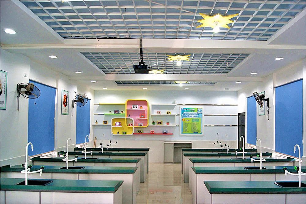 喜报学校获全省教育系统多项表彰,桂林崇善小学