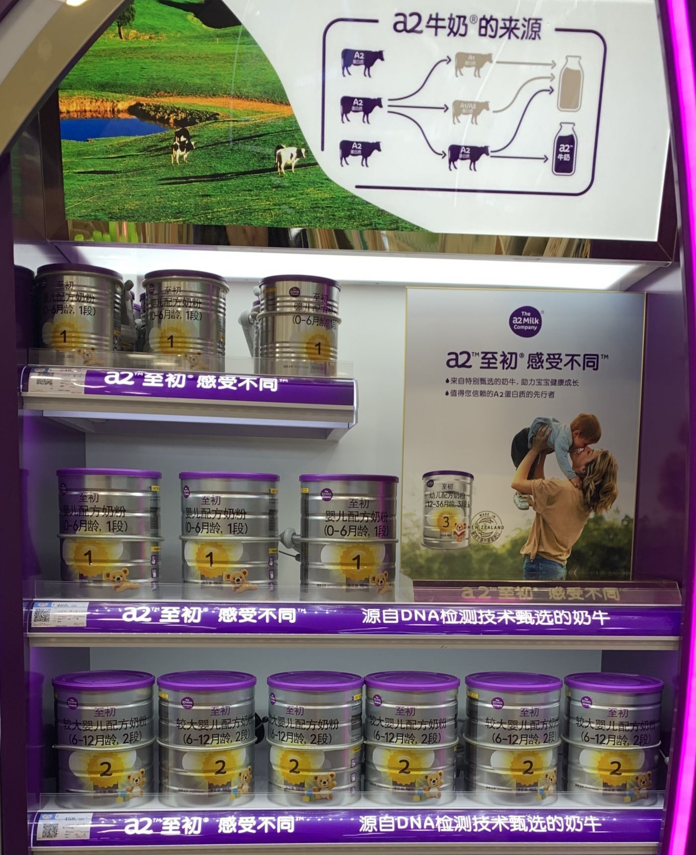 国内市场反弹蓄势待发,中国市场表现亮眼