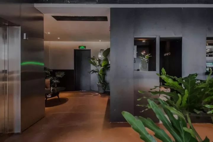 莫干山民宿成功的原因,莫干山民宿是怎么做起来的