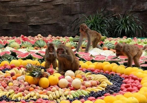 调节你家的气味儿，不只买香薰那么简单