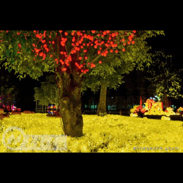 约不约?9月6日,我在青秀山等你一起看花灯