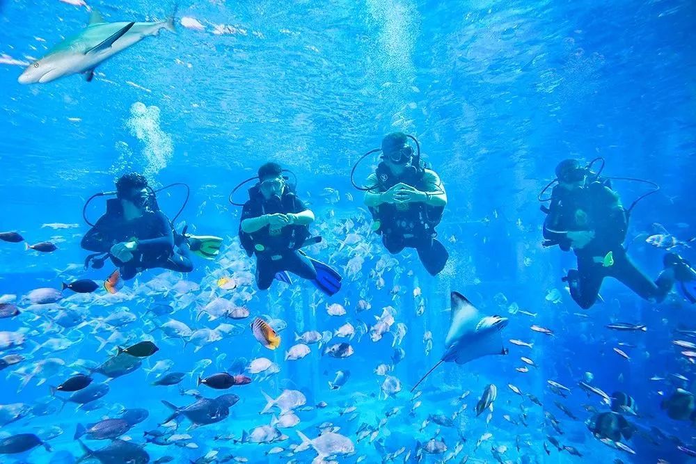 三亚3天2晚亚特兰蒂斯,三亚5天4晚亚特兰蒂斯酒店双人游