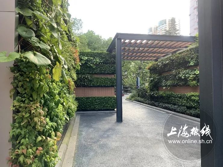 TA藏在静安，可能是市中心最袖珍公园，重温老上海的儿时记忆