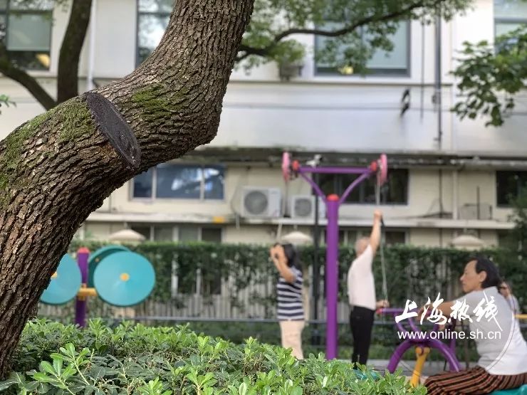 TA藏在静安，可能是市中心最袖珍公园，重温老上海的儿时记忆