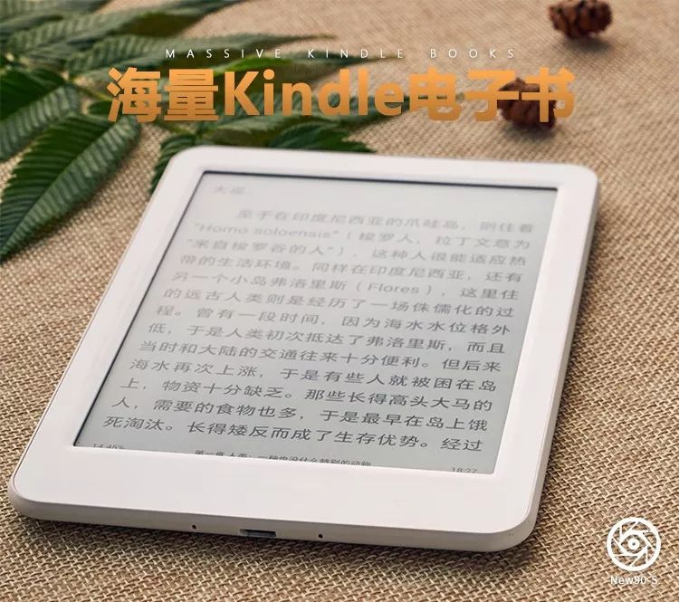 我建了一个羞羞群,价值500万