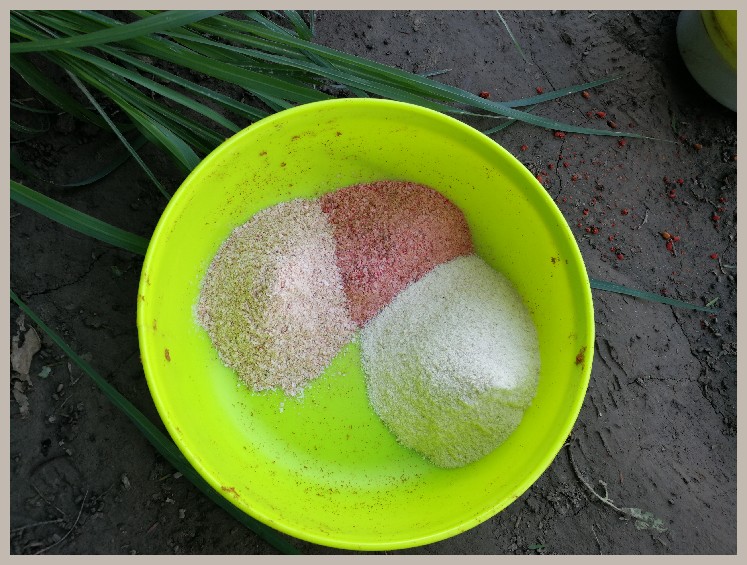 异地最后一次作钓，江鳊鱼获全部送邻居