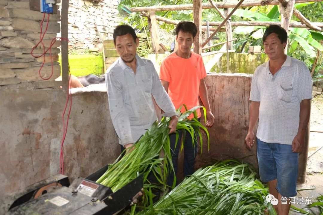 景福镇岔河村,美丽乡村岔河村