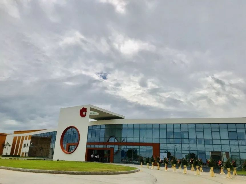 美通企业日报|洽洽开启中国坚果品牌全球化新征程；创维上半年净利同比增两成