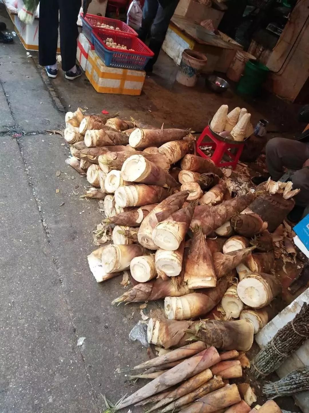 厦门城市漫步好地方,厦门漫步好去处