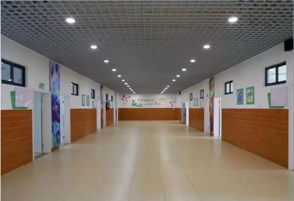 沙坪坝义务教育学校,沙坪坝小学新学校