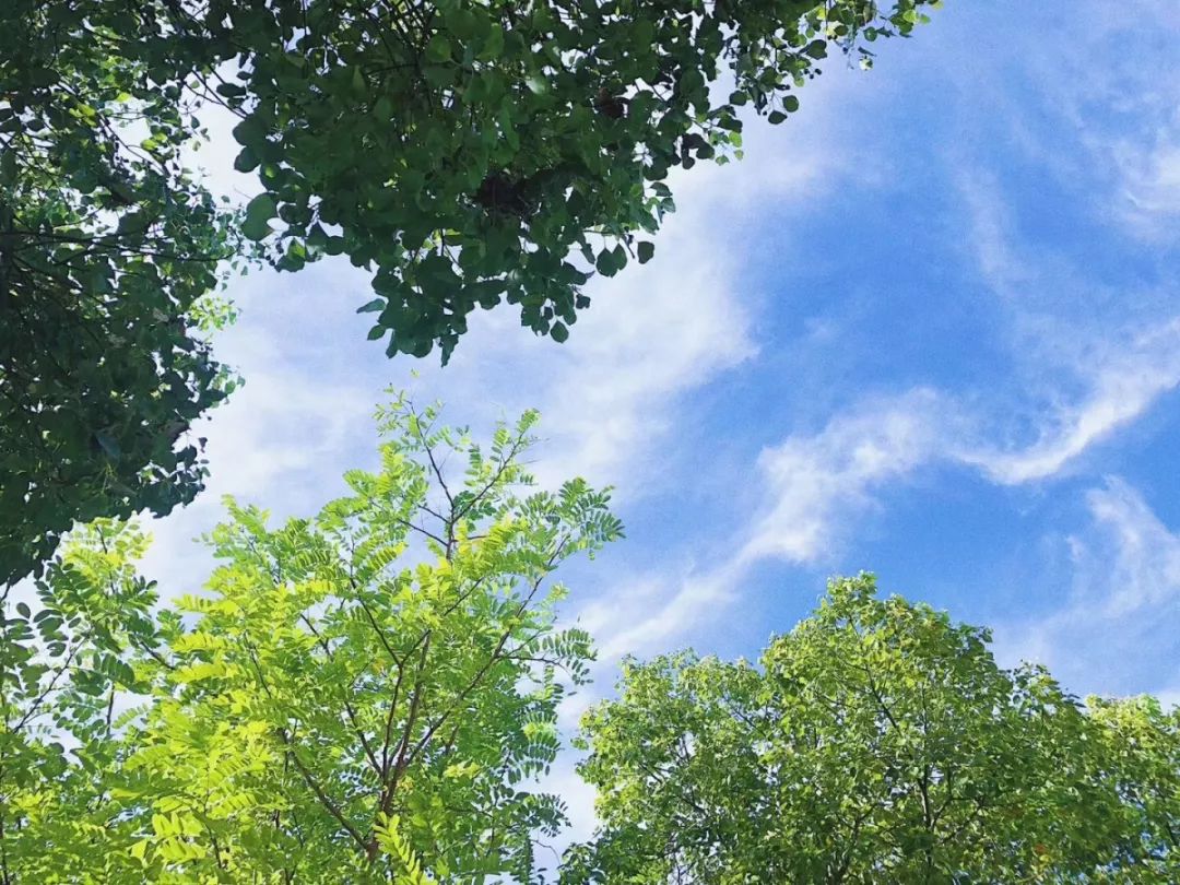 苏州宜居条件最好是哪个区,苏州中国最适宜生活的城市