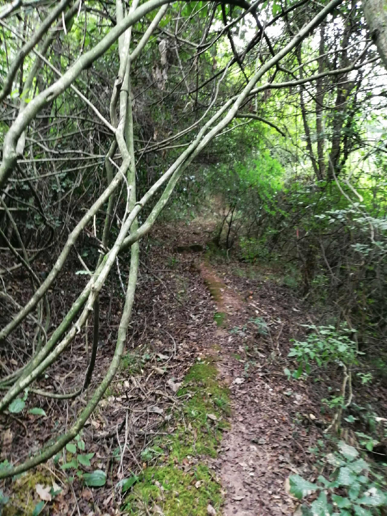 别人对你说钓鱼是什么意思,对于钓鱼各位钓友有什么看法