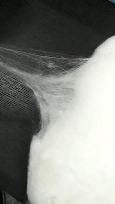 紧急通知蚕丝被,蚕丝被曝光事件