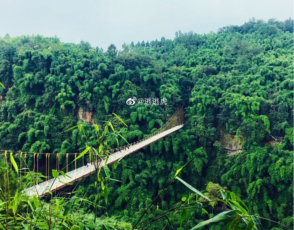 成都周边最好的玻璃栈道的景区,成都附近哪个景区有玻璃栈道
