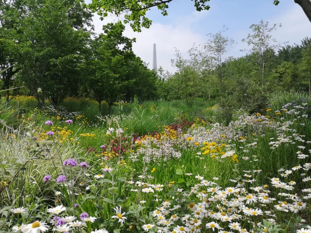 9月15-19日北京活动等你来，论坛+考察+花境，三大亮点，许多干货,欢迎围观