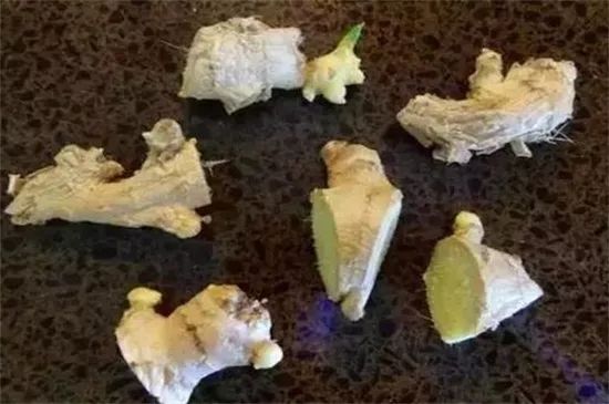 种一亩姜卖多少钱能保本,种姜多少钱不赔本