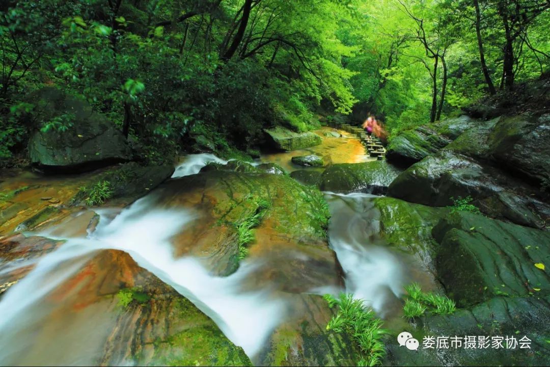 生态娄底美丽家园——【壮丽70年奋斗新时代】娄底首届风光摄影作品展览生态小品作品选登