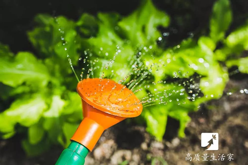 白糖到底有多厉害,白糖为什么这么厉害呢