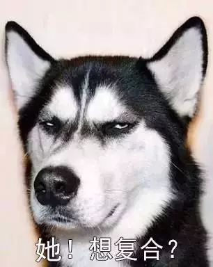 前女友突然来加了我微信,8年前的女友突然加微信