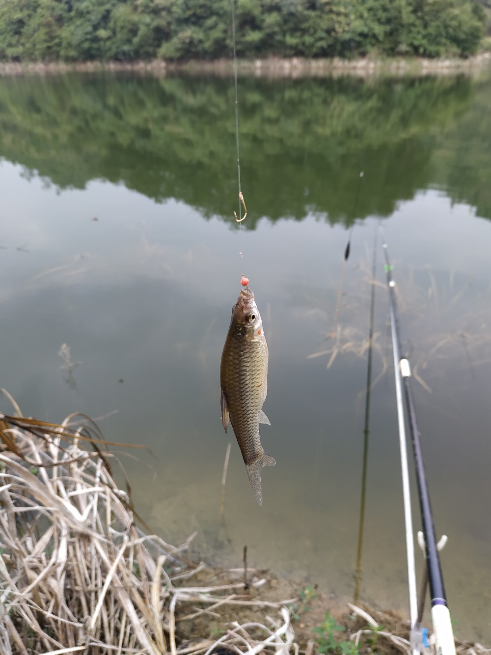 如何把握钓鱼时间,一天钓鱼最好时间段是中午吗