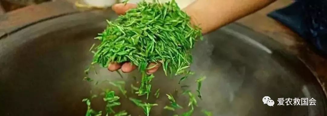 宀╄尪鍒惰尪鏁欏,鍒惰尪宸ヨ壓涓庤尪鏂囧寲