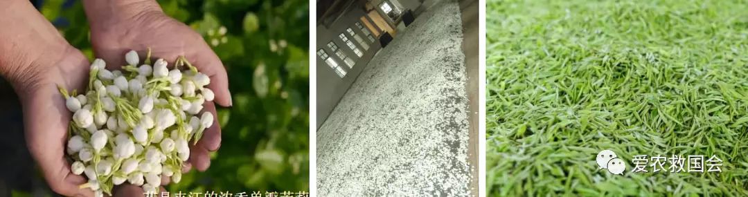 宀╄尪鍒惰尪鏁欏,鍒惰尪宸ヨ壓涓庤尪鏂囧寲