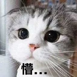 放假通知来了可连休11天,放假通知20201号2号