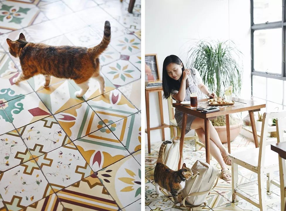 厦门自助旅游食住攻略,厦门旅游吃什么实惠