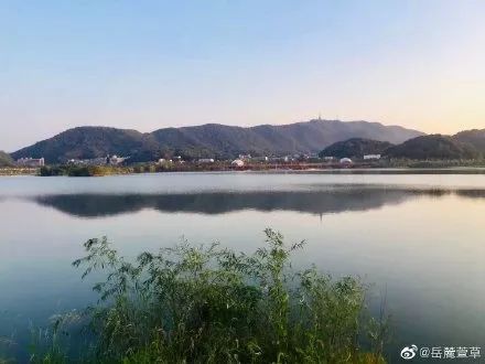 长沙这些公园颜值超高你去过几个,长沙最值得去的公园排名一览表