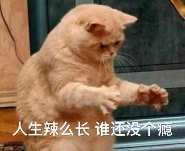 被欲望支配的年轻人,被支配的年轻人