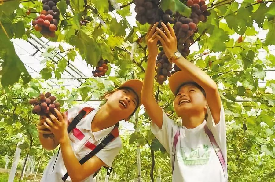 中秋出行攻略！中秋将至周边游成市民首选~