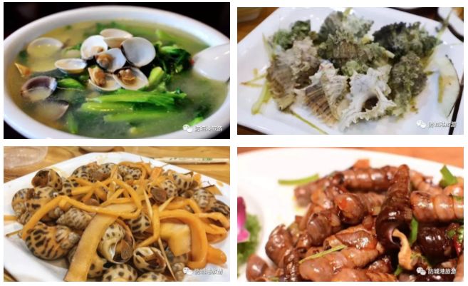 上山下海去旅行,上山下海出国游