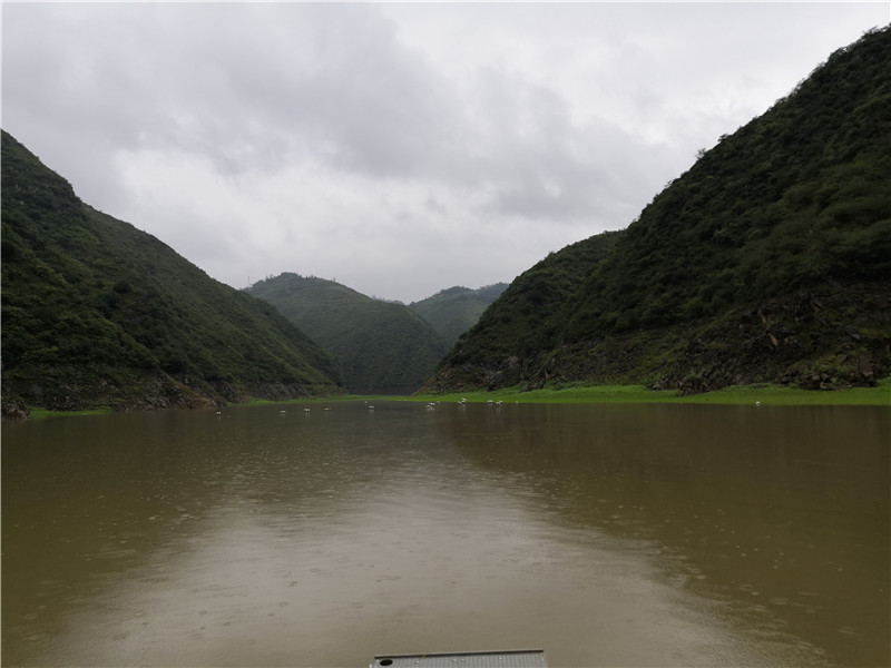 左手大鲤右手大翘我的鱼获超给力