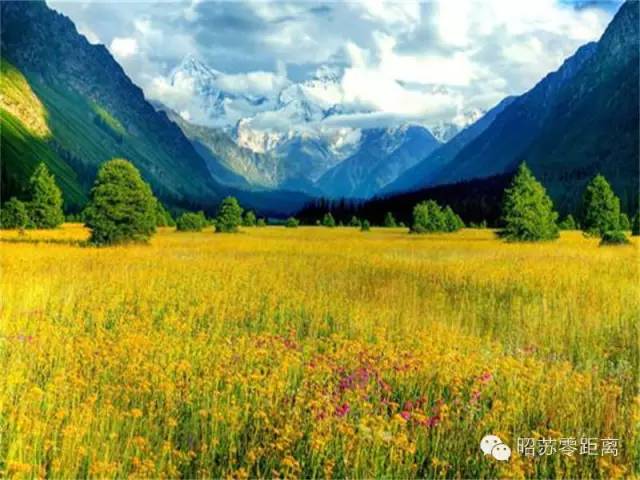 笔尖思路抒怀昭苏丨优秀作品展《夏塔怀想》