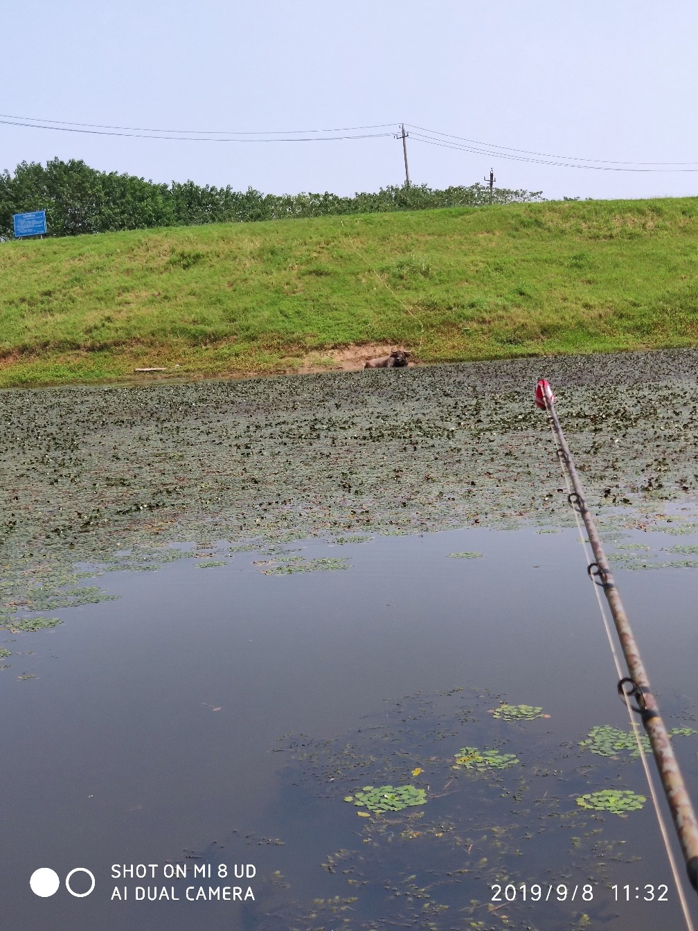 鼓轮经常爆线是什么原因,鼓轮爆线怎么办
