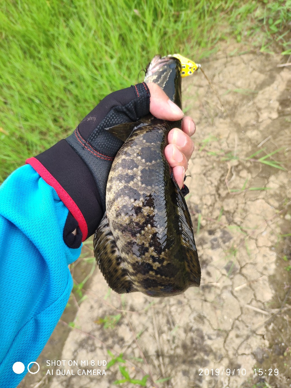 鼓轮经常爆线是什么原因,鼓轮爆线怎么办