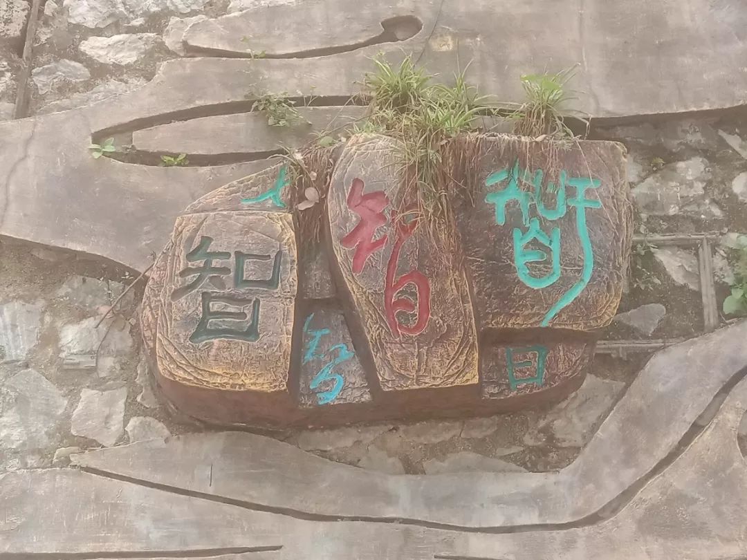 档案解密十二生肖,十二生肖天数配对解密