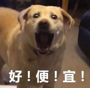 九月上海出发特价机票,9月低价机票