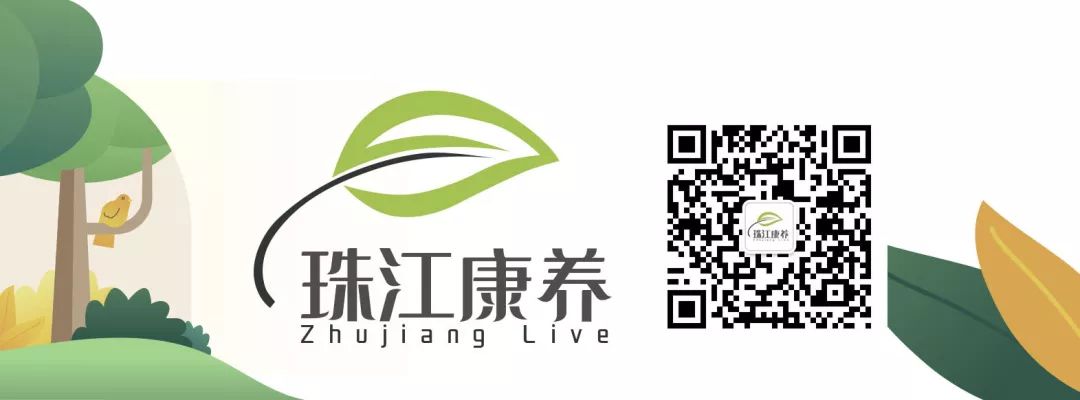 香烟的几种常见类型,什么样的香烟带紫色