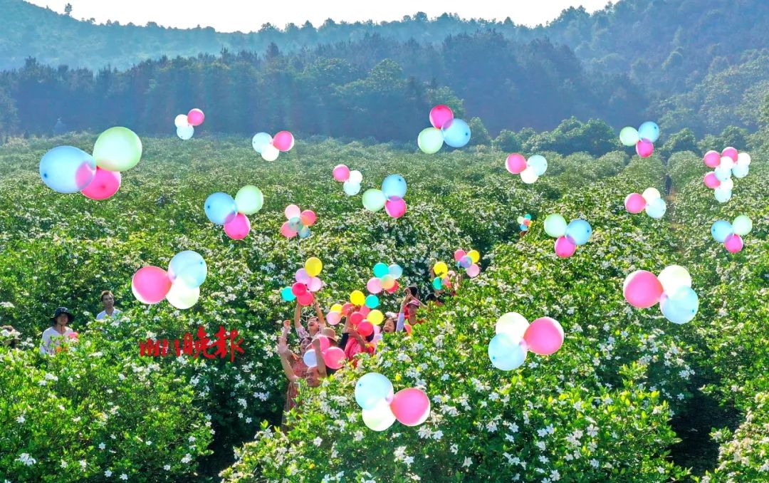 你好，我叫南昌！这是我的2019新名片