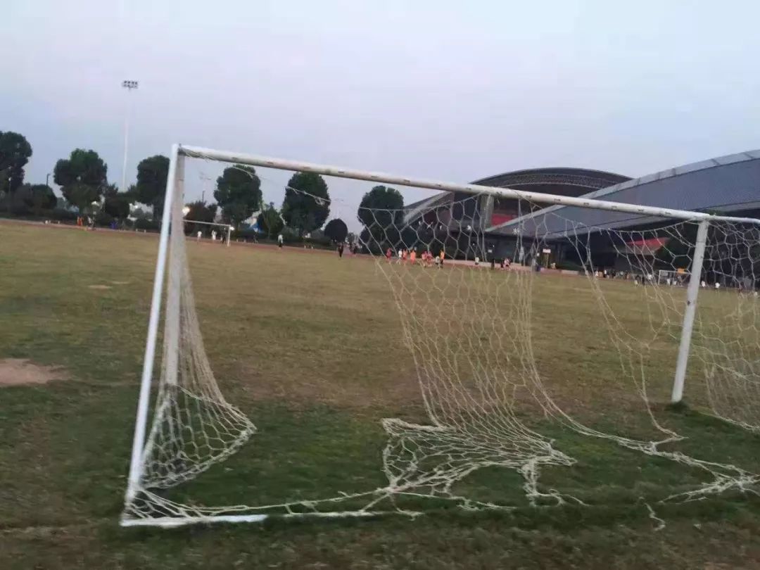 体育中心场地球场围网,体育中心改造两层看台