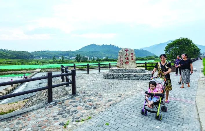 聚焦美丽乡村面貌提升,聚焦美丽乡村建设