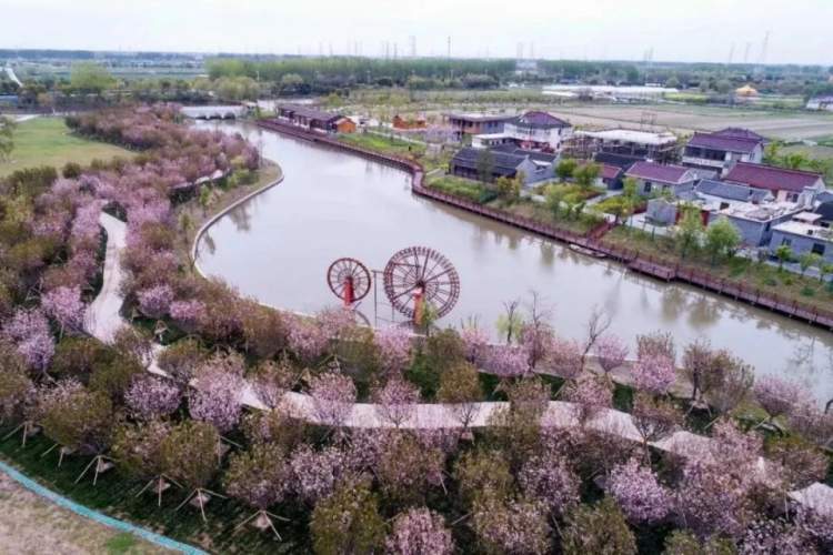 靖江汤包和南翔小笼打擂台，谁更好吃？跟着美食去水城泰州“白相”